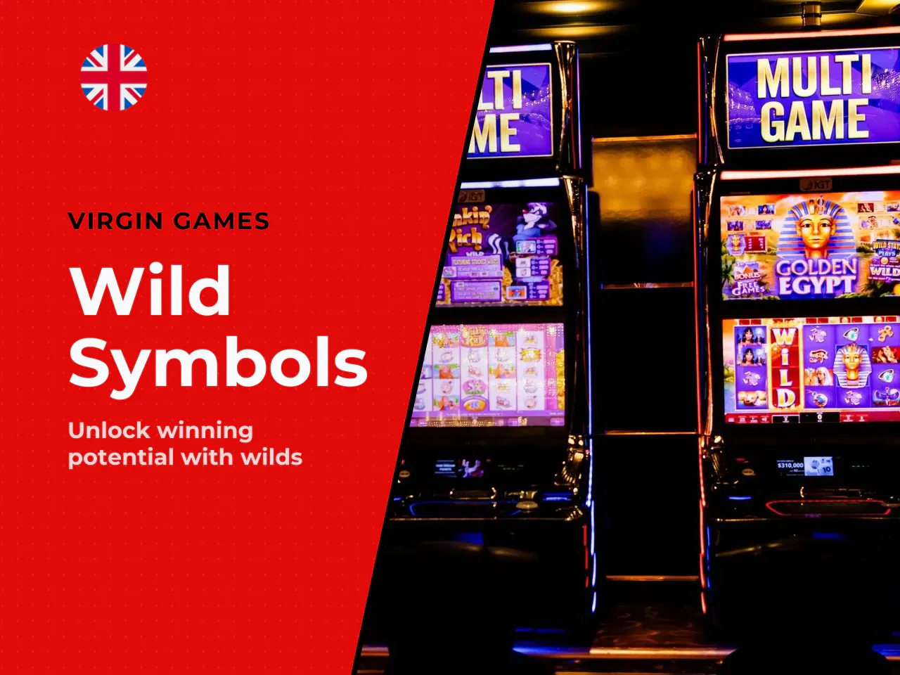 Wild Symbol and Wild Multipliers. The